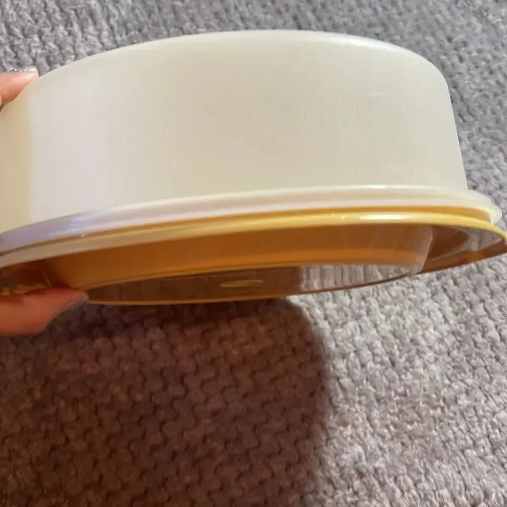 Vintage cake taker Tupperware